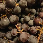 Monfra - Ospitalita Rurale, Vigneti E Cantina Farmház