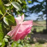 Monfra - Ospitalita Rurale, Vigneti E Cantina