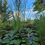 Monfra - Ospitalita Rurale, Vigneti E Cantina