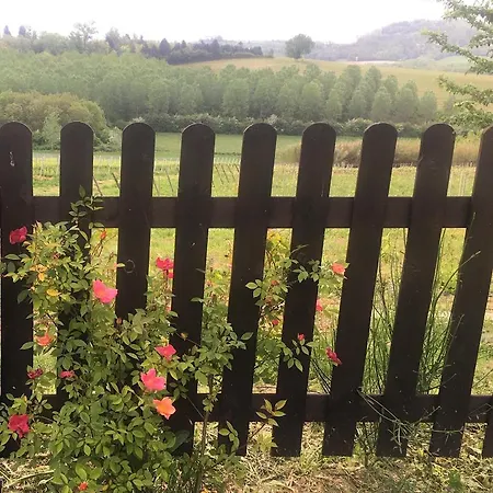 Monfrà - Ospitalità Rurale, Vigneti E Cantina Alloggio per agriturismo