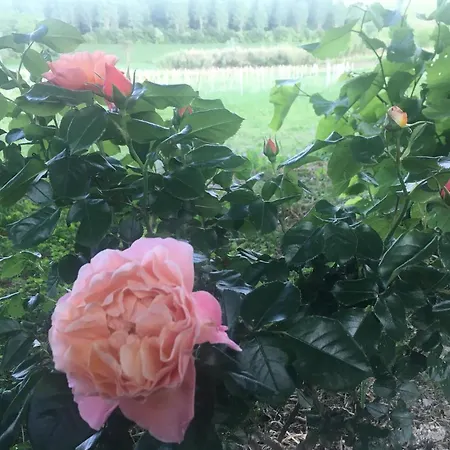 Monfra - Ospitalita Rurale, Vigneti E Cantina Vakantieboerderij *