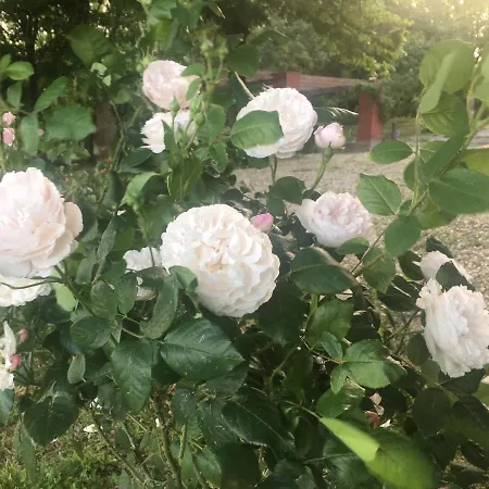 Agroturismo Monfra - Ospitalita Rurale, Vigneti E Cantina *