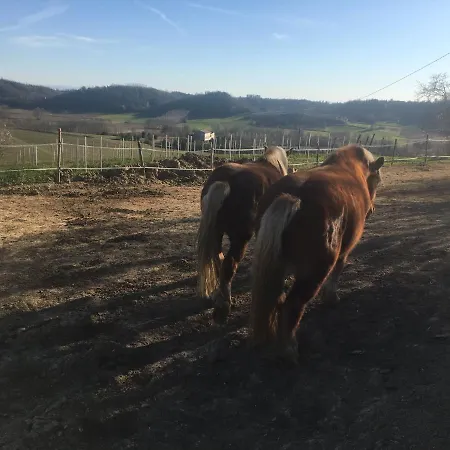 Monfra - Ospitalita Rurale, Vigneti E Cantina *