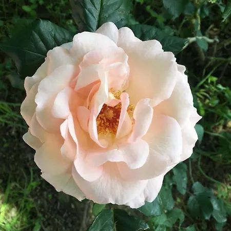 Monfra - Ospitalita Rurale, Vigneti E Cantina *