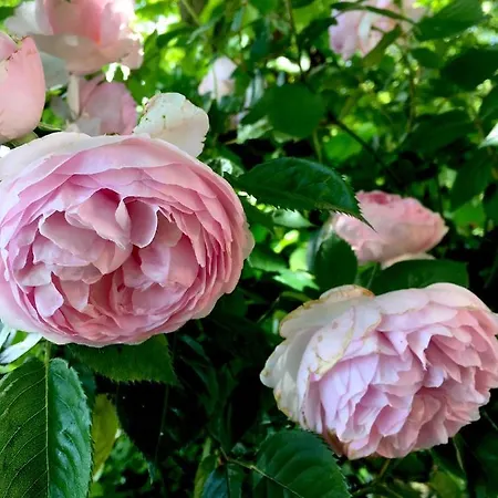 Monfra - Ospitalita Rurale, Vigneti E Cantina