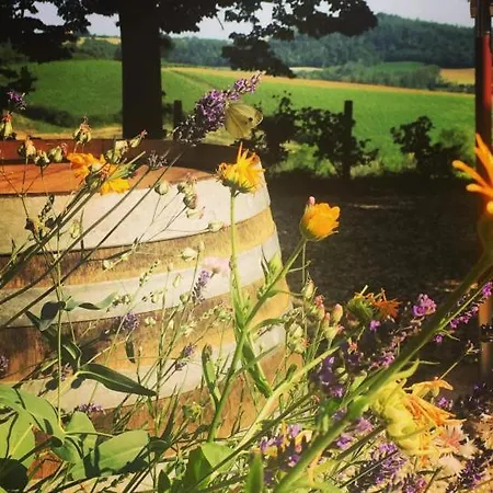 Vakantieboerderij Monfra - Ospitalita Rurale, Vigneti E Cantina *