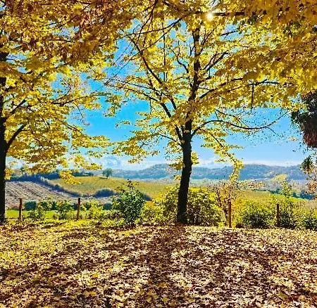 Monfra - Ospitalita Rurale, Vigneti E Cantina *