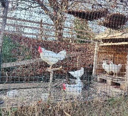 Monfrà - Ospitalità Rurale, Vigneti E Cantina Vignale
