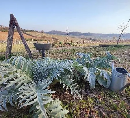 Monfrà - Ospitalità Rurale, Vigneti E Cantina Alloggio per agriturismo *