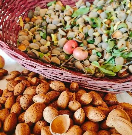 Monfra - Ospitalita Rurale, Vigneti E Cantina Agroturismo *