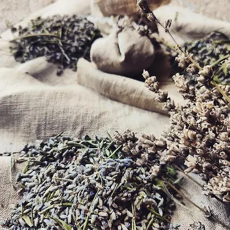 Monfra - Ospitalita Rurale, Vigneti E Cantina