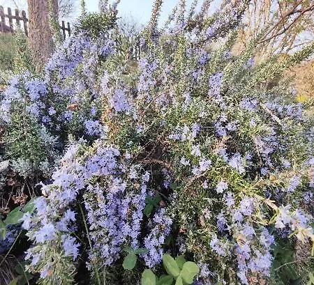 Vakantieboerderij Monfra - Ospitalita Rurale, Vigneti E Cantina Vignale