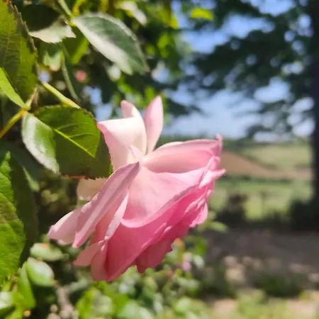 Monfra - Ospitalita Rurale, Vigneti E Cantina