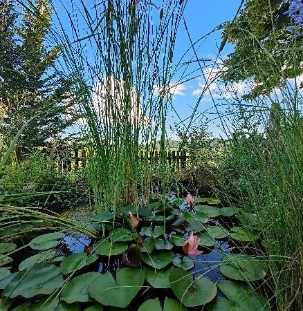 Monfra - Ospitalita Rurale, Vigneti E Cantina