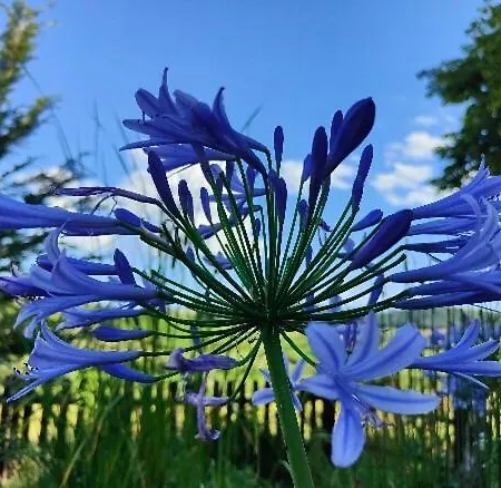 Monfra - Ospitalita Rurale, Vigneti E Cantina * Vignale