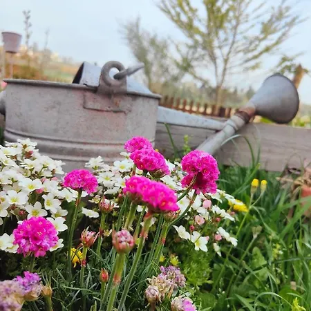 Monfra - Ospitalita Rurale, Vigneti E Cantina