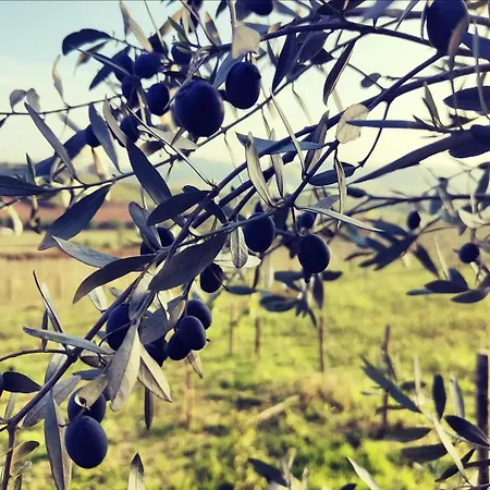 Vakantieboerderij Monfra - Ospitalita Rurale, Vigneti E Cantina
