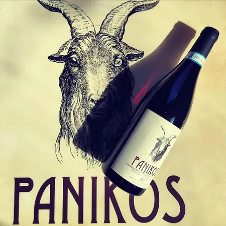 Monfra - Ospitalita Rurale, Vigneti E Cantina Vakantieboerderij Vignale