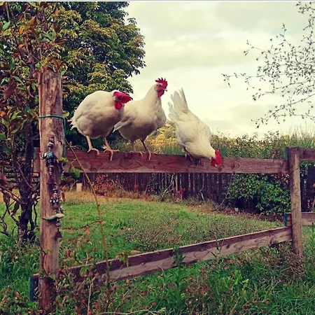 Monfra - Ospitalita Rurale, Vigneti E Cantina *