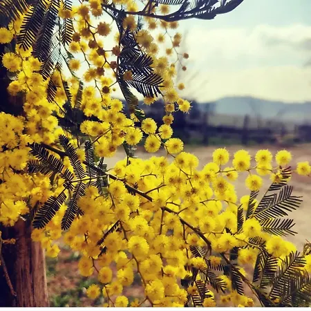 Monfra - Ospitalita Rurale, Vigneti E Cantina