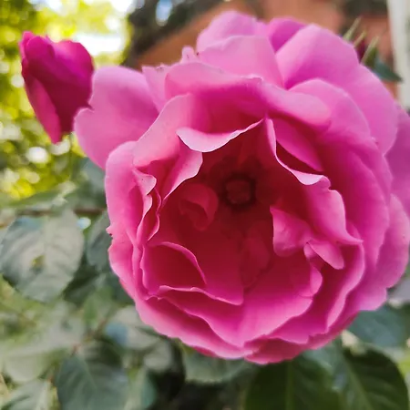 Monfra - Ospitalita Rurale, Vigneti E Cantina Vakantieboerderij *