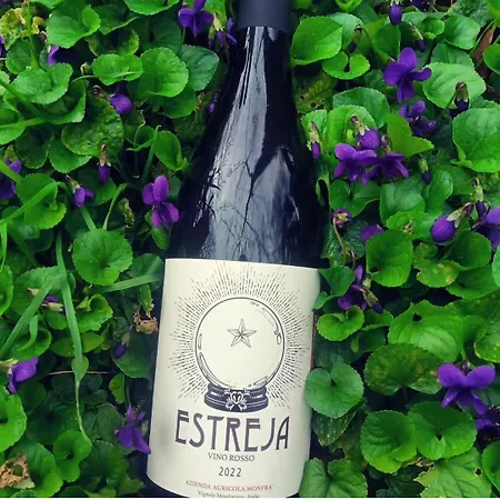 Vakantieboerderij Monfra - Ospitalita Rurale, Vigneti E Cantina