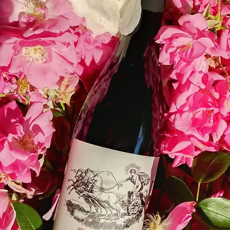 Vakantieboerderij Monfra - Ospitalita Rurale, Vigneti E Cantina