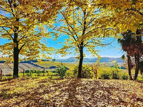 Monfra - Ospitalita Rurale, Vigneti E Cantina *