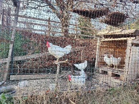 Monfra - Ospitalita Rurale, Vigneti E Cantina 비냘레