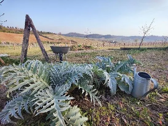 Monfra - Ospitalita Rurale, Vigneti E Cantina 팜스테이 *