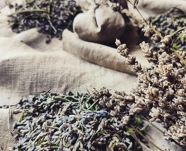 Monfra - Ospitalita Rurale, Vigneti E Cantina