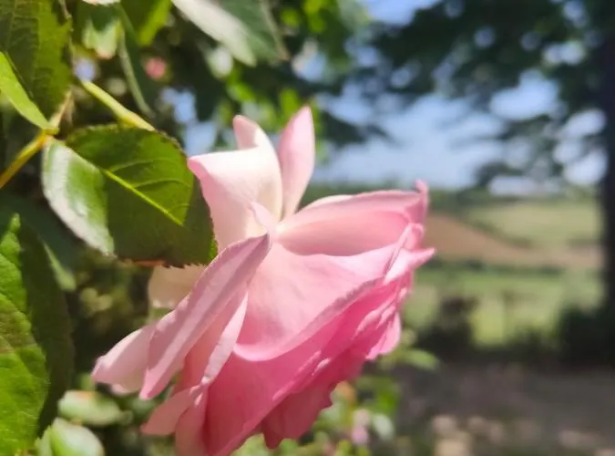 Monfra - Ospitalita Rurale, Vigneti E Cantina