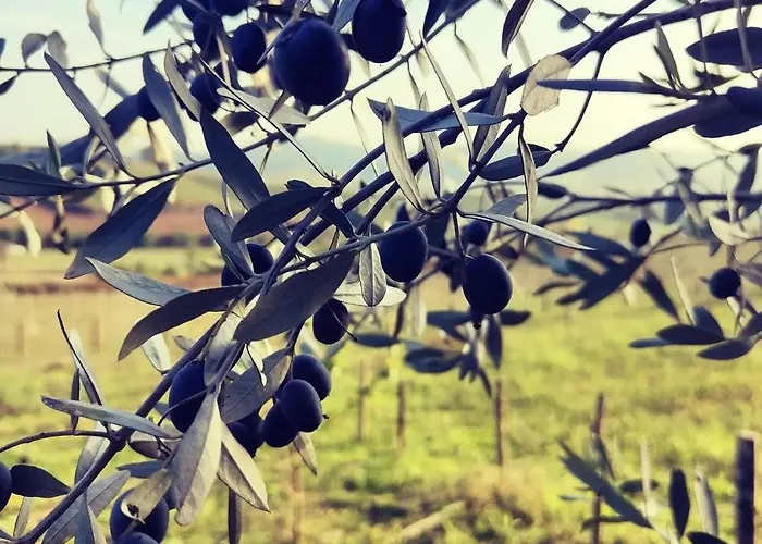 팜스테이 Monfra - Ospitalita Rurale, Vigneti E Cantina
