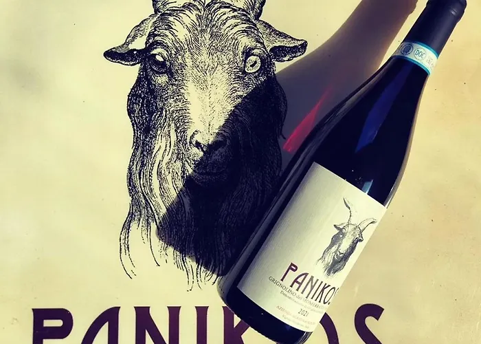 Monfra - Ospitalita Rurale, Vigneti E Cantina 팜스테이 비냘레