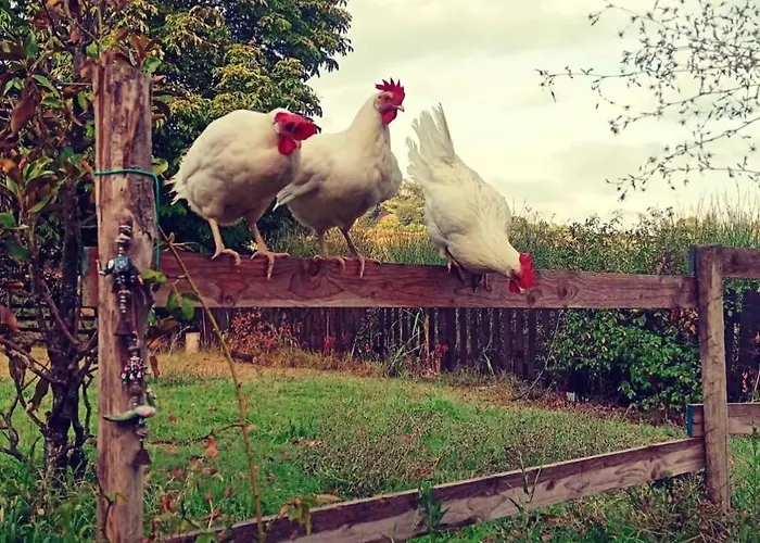 Monfra - Ospitalita Rurale, Vigneti E Cantina *