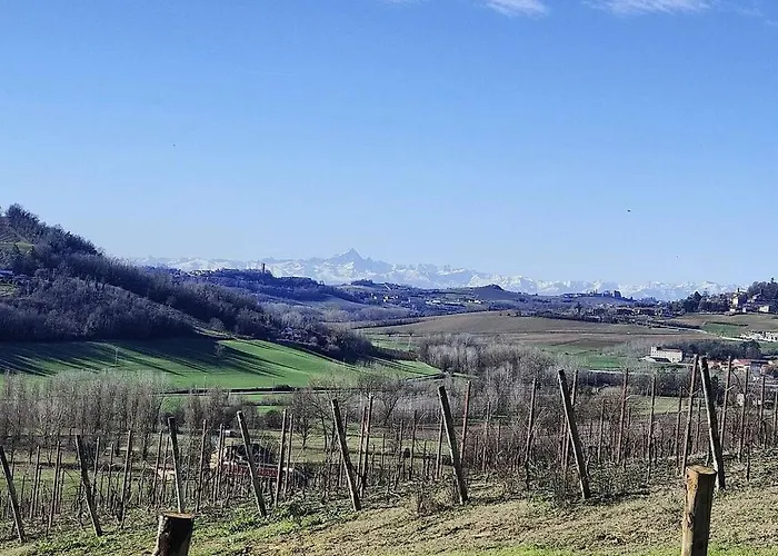 Monfra - Ospitalita Rurale, Vigneti E Cantina * 비냘레