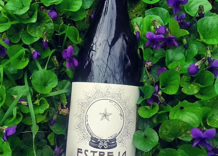 팜스테이 Monfra - Ospitalita Rurale, Vigneti E Cantina