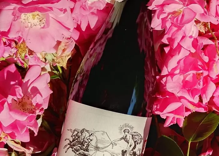 팜스테이 Monfra - Ospitalita Rurale, Vigneti E Cantina